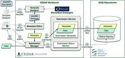 The CAIRR Pipeline for Submitting Standards-Compliant B and T Cell Receptor Repertoire Sequencing Studies to the National Center for Biotechnology Information Repositories